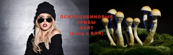 соль ск Алексин