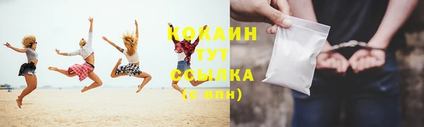 шишки Абинск