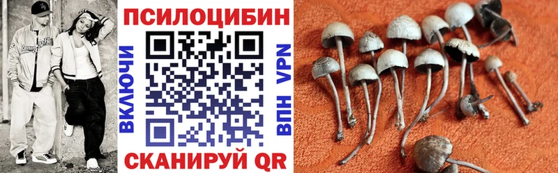 blacksprut как войти Дербент Галлюциногенные грибы Magic Shrooms